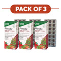 Floradix Vegan Formel Dreierpack – 3 x 84 Tabletten