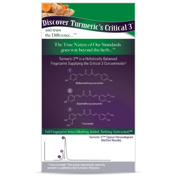 Nature's Answer Turmeric-3 Curcuminoids Vegan Capsules - 90 Count