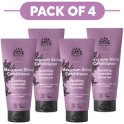 Urtekram Maximum Shine Soothing Lavender Conditioner 180ml Pack of 4