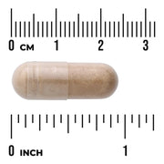 Swanson Avena Sativa 575mg 60 Capsules size
