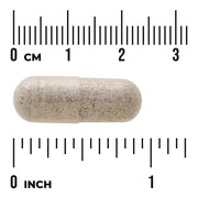 Swanson Sea Cucumber 500mg 100 Capsules supplement capsule bottle 60 capsule size