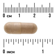 Swanson St. John's Wort Herb 375mg 60 Vegan Capsules Pack of 2 size comparison with measurement scale