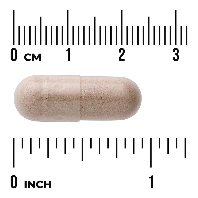 Swanson Full Spectrum Butea Superba Root 400mg 60 Capsules herbal supplement capsule bottle 60 capsule size