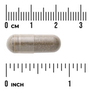 Swanson Bacopa Monnieri Extract 250mg herbal supplement capsules bottle front label 90 capsule size