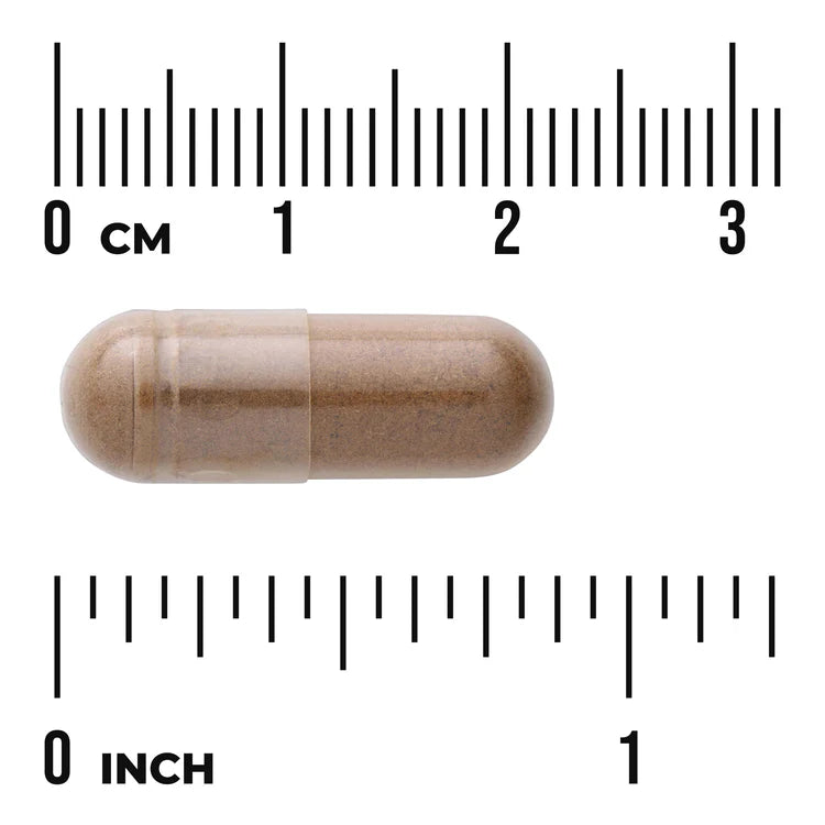 Swanson Full Spectrum Burdock Root 460mg 100 Capsules Pack of 2 herbal supplement capsule bottle 60 capsule size