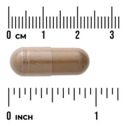 Swanson Full Spectrum Black Cohosh Root 540 mg capsule size comparison with measurement scale