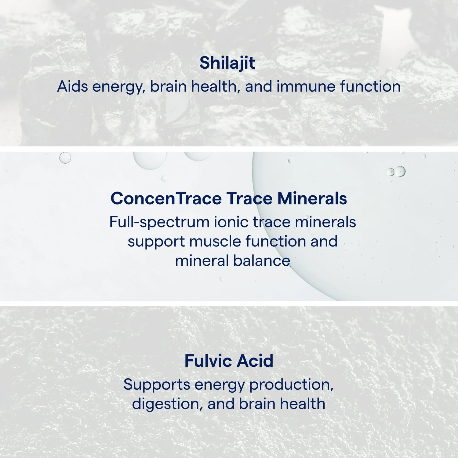 Trace Minerals Shilajit Resin Honey Sticks 30 sticks supplement facts and ingredients panel